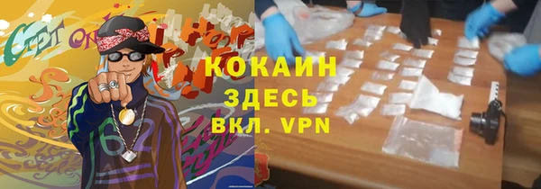 ГАЛЛЮЦИНОГЕННЫЕ ГРИБЫ Липки