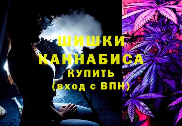 ГАЛЛЮЦИНОГЕННЫЕ ГРИБЫ Липки