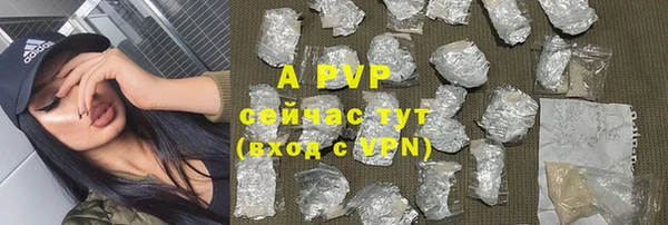 ГАЛЛЮЦИНОГЕННЫЕ ГРИБЫ Липки