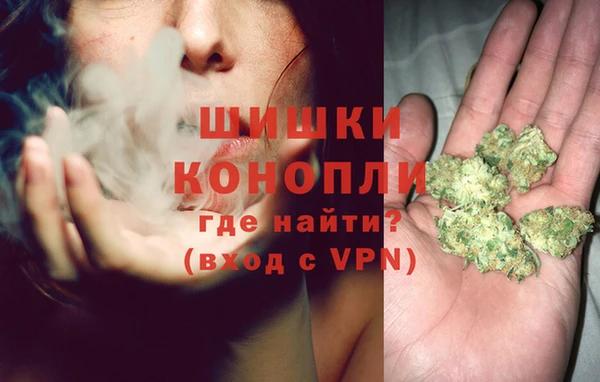 ГАЛЛЮЦИНОГЕННЫЕ ГРИБЫ Липки